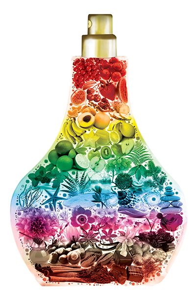 Main Bottle Main Bottle